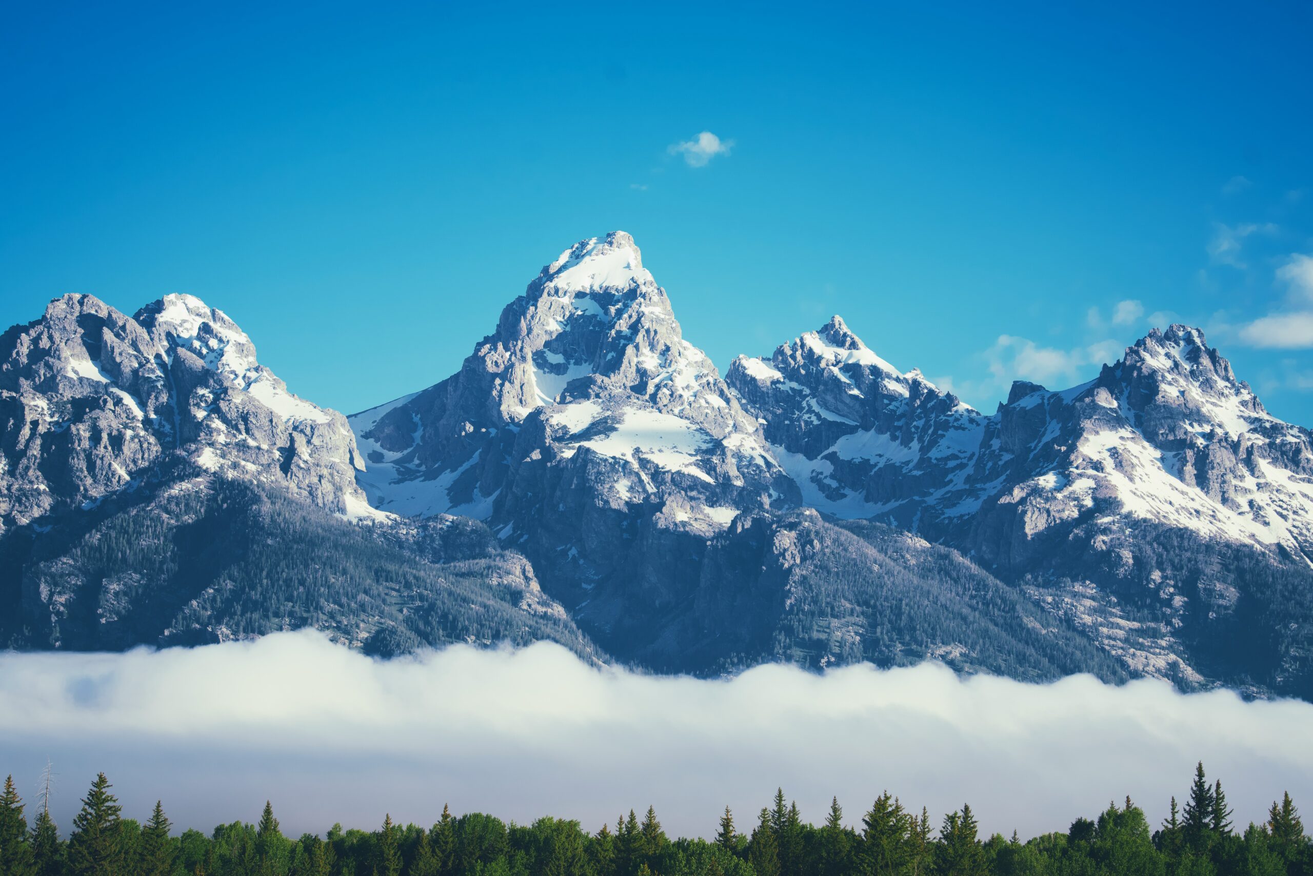 jules-marvin-eguilos-xLNl6CWIJng-unsplash-scaled-1